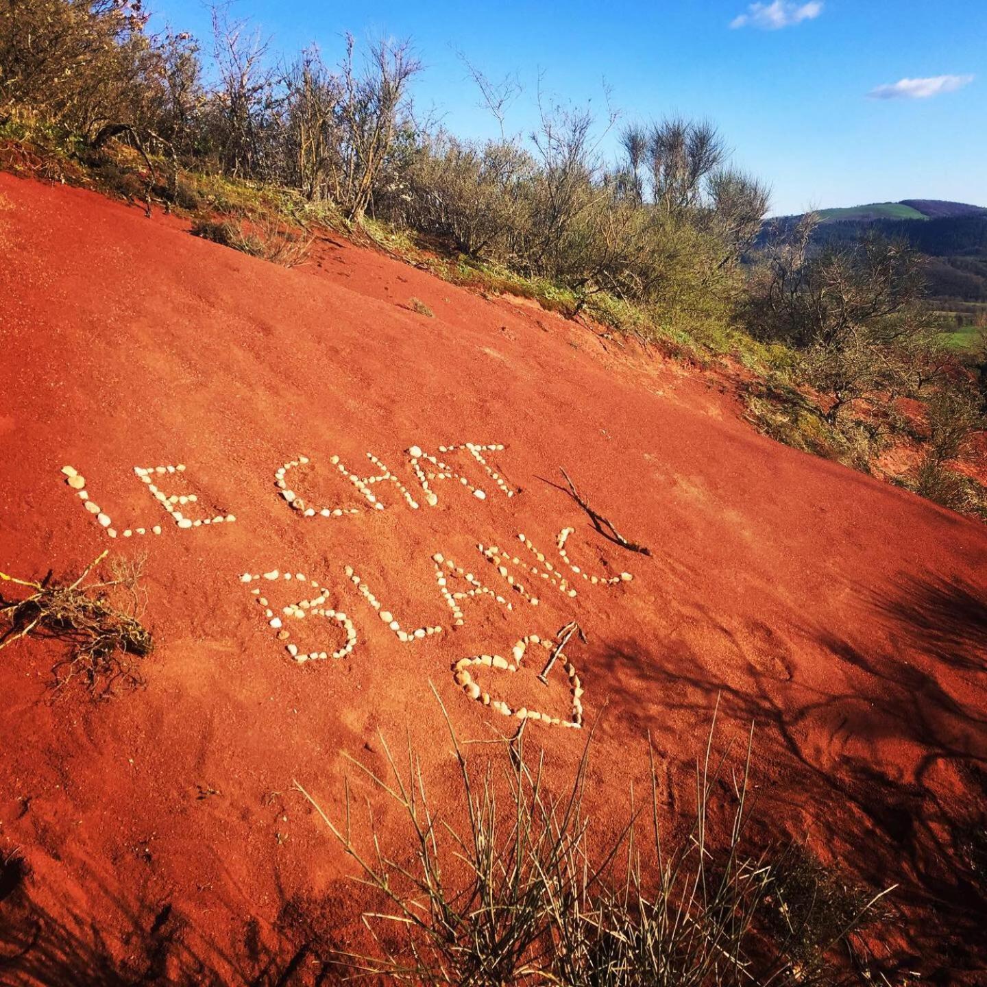 Le Chat Blanc Versols-et-Lapeyre ภายนอก รูปภาพ